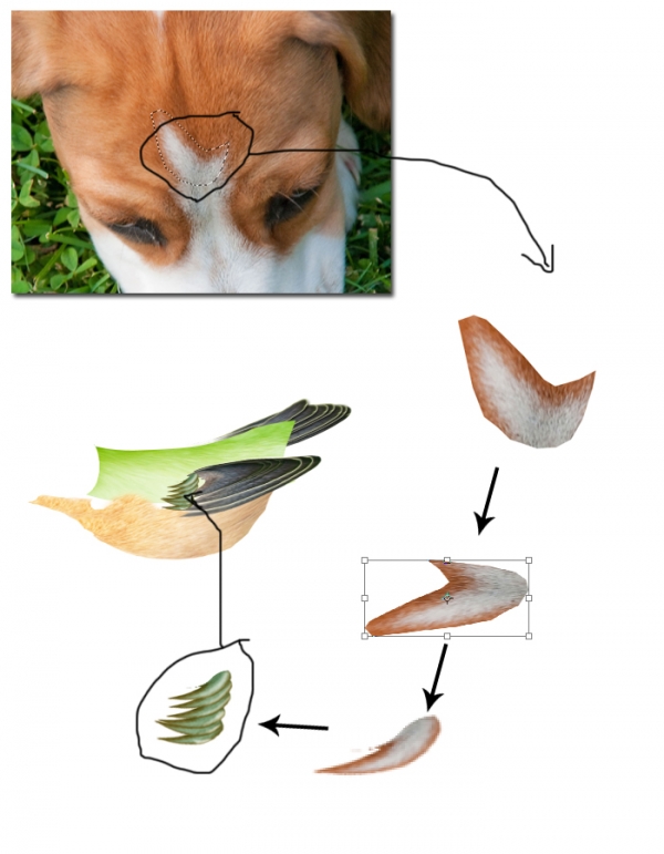 Creation of Breeze of Dawn: Step 4